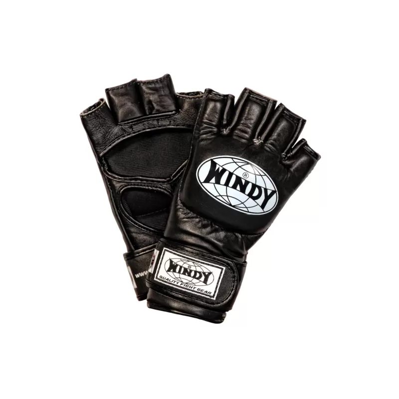 Windy MMA gloves