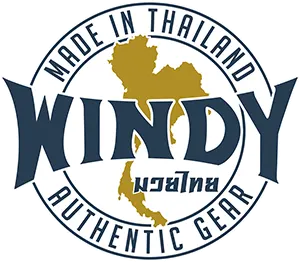Windy authentication logo