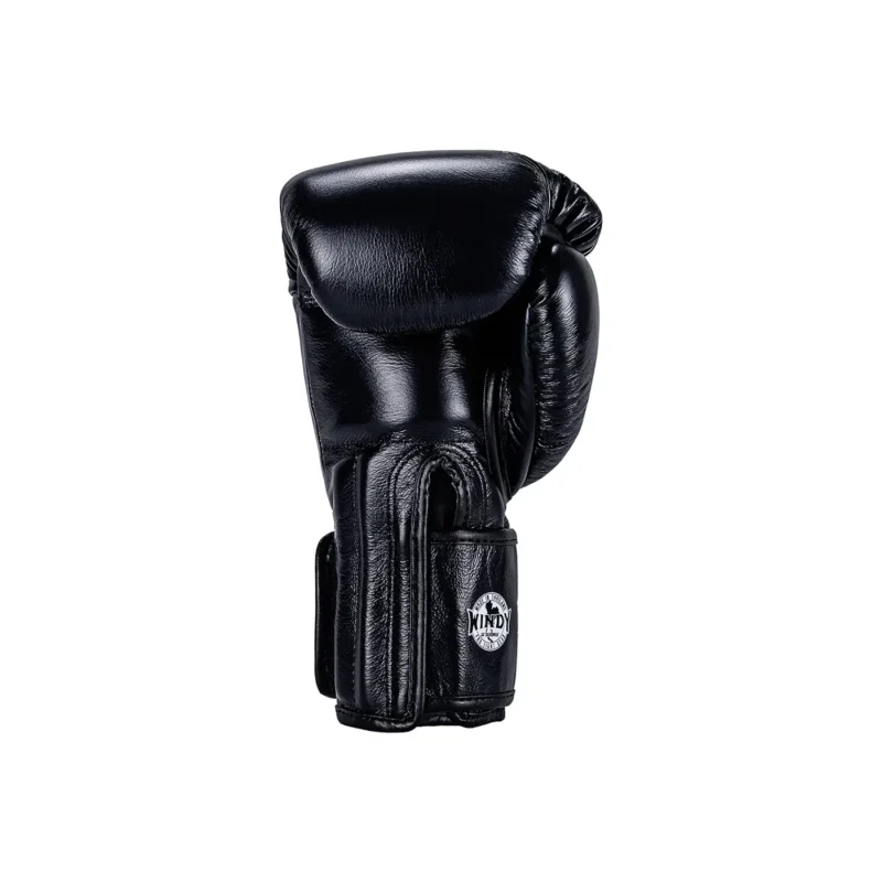 Windy Muay Thai Gloves Black back view