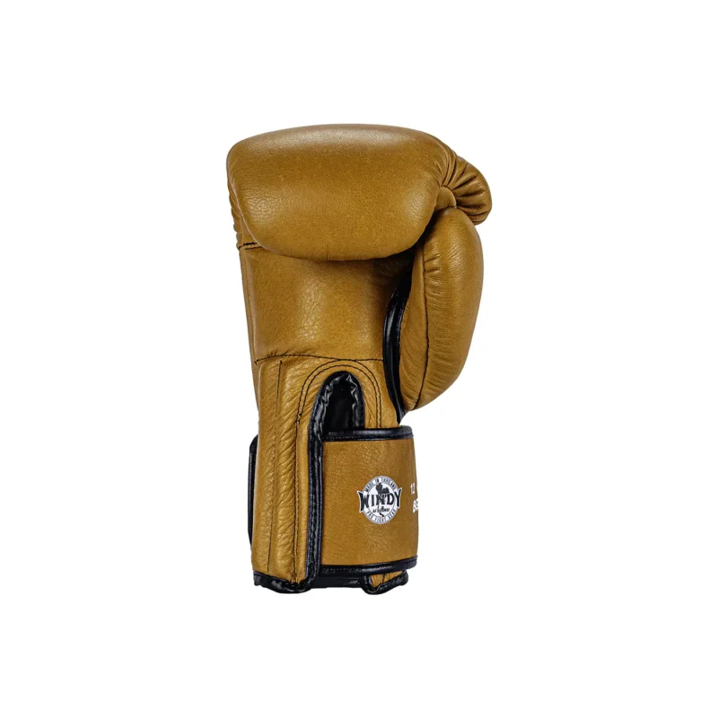 Windy Muay Thai Gloves Proline back view