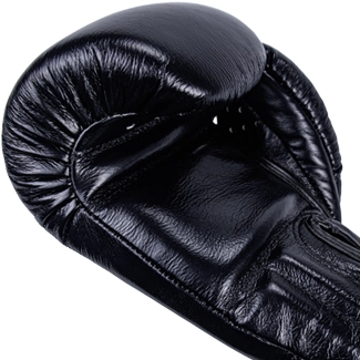 Windy Muay Thai Gloves Black padding view