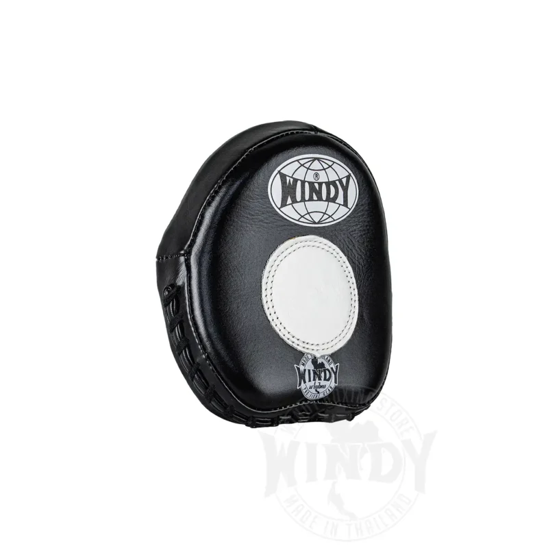 Windy Focus Mitts