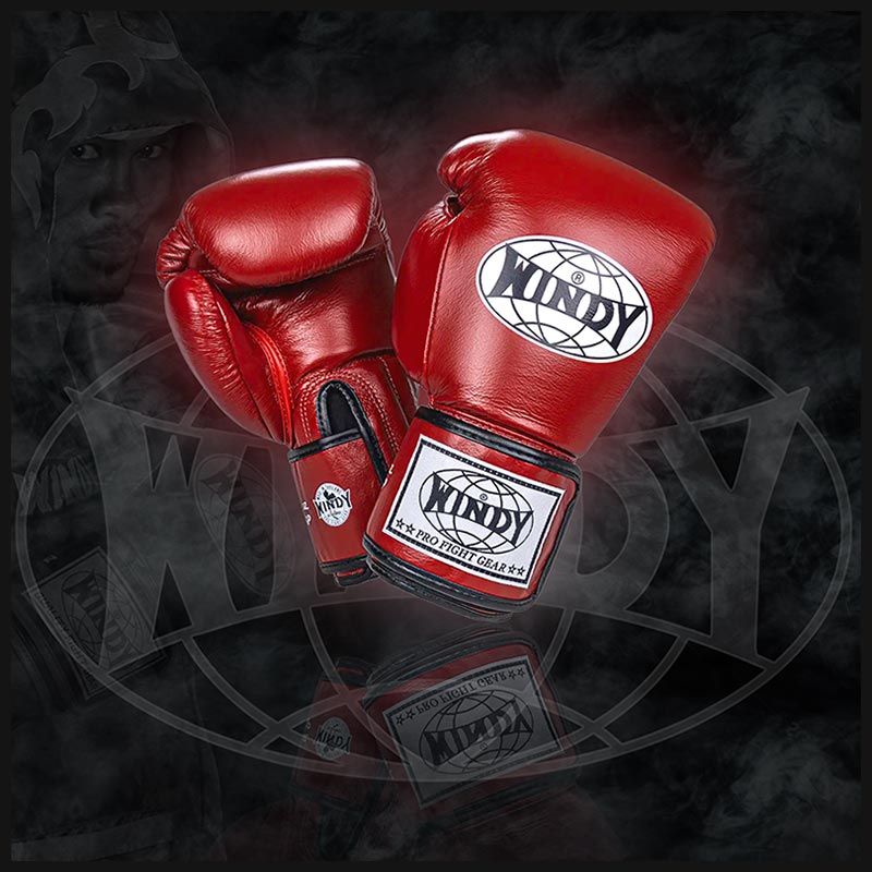 Windy Muay Thai Gloves BGP