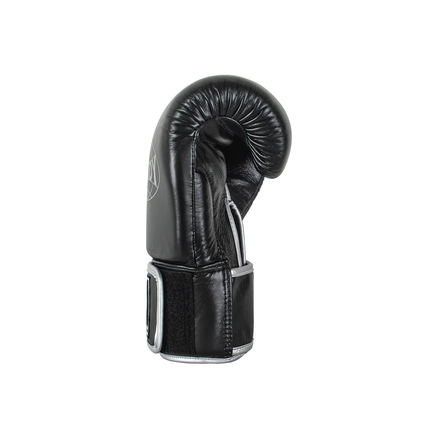 Windy Boxing Gloves Silver - right side